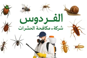 شركة الفردوس لمكافحة الحشرات بجدة – الحل النهائي للقضاء على جميع أنواع الحشرات بسرعة وأمان 2 -